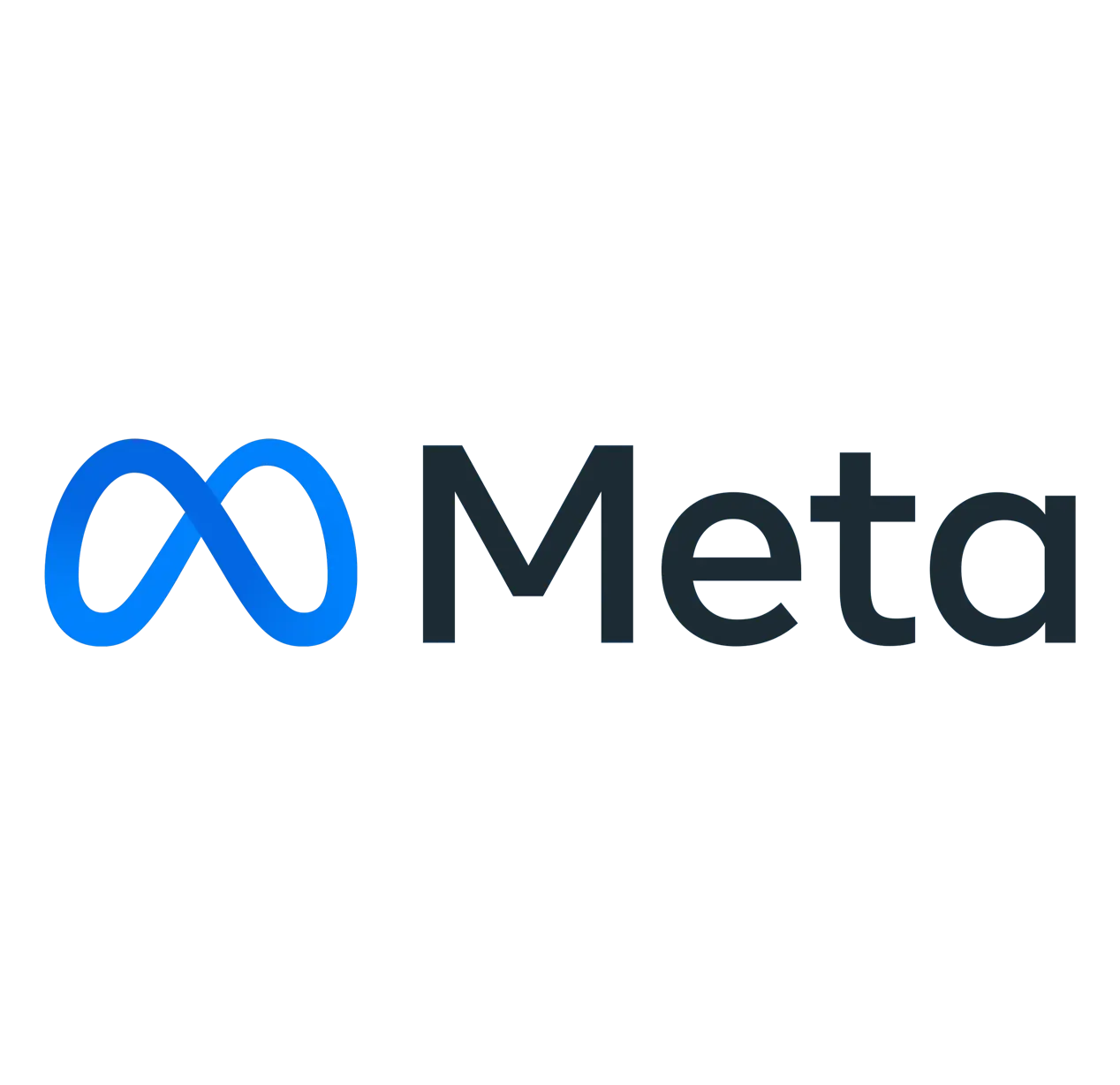 Meta logo with blue infinity symbol and black text